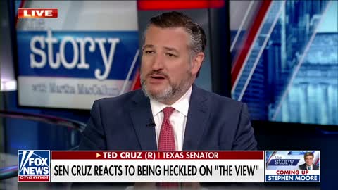 Ted Cruz addresses being heckled on 'The View'