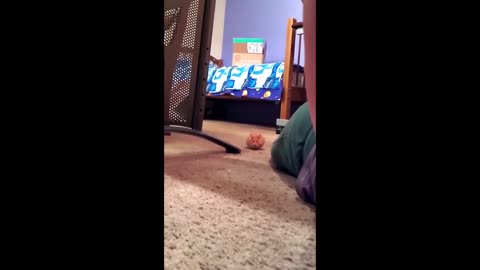 UNUSUAL MEMES COMPILATION