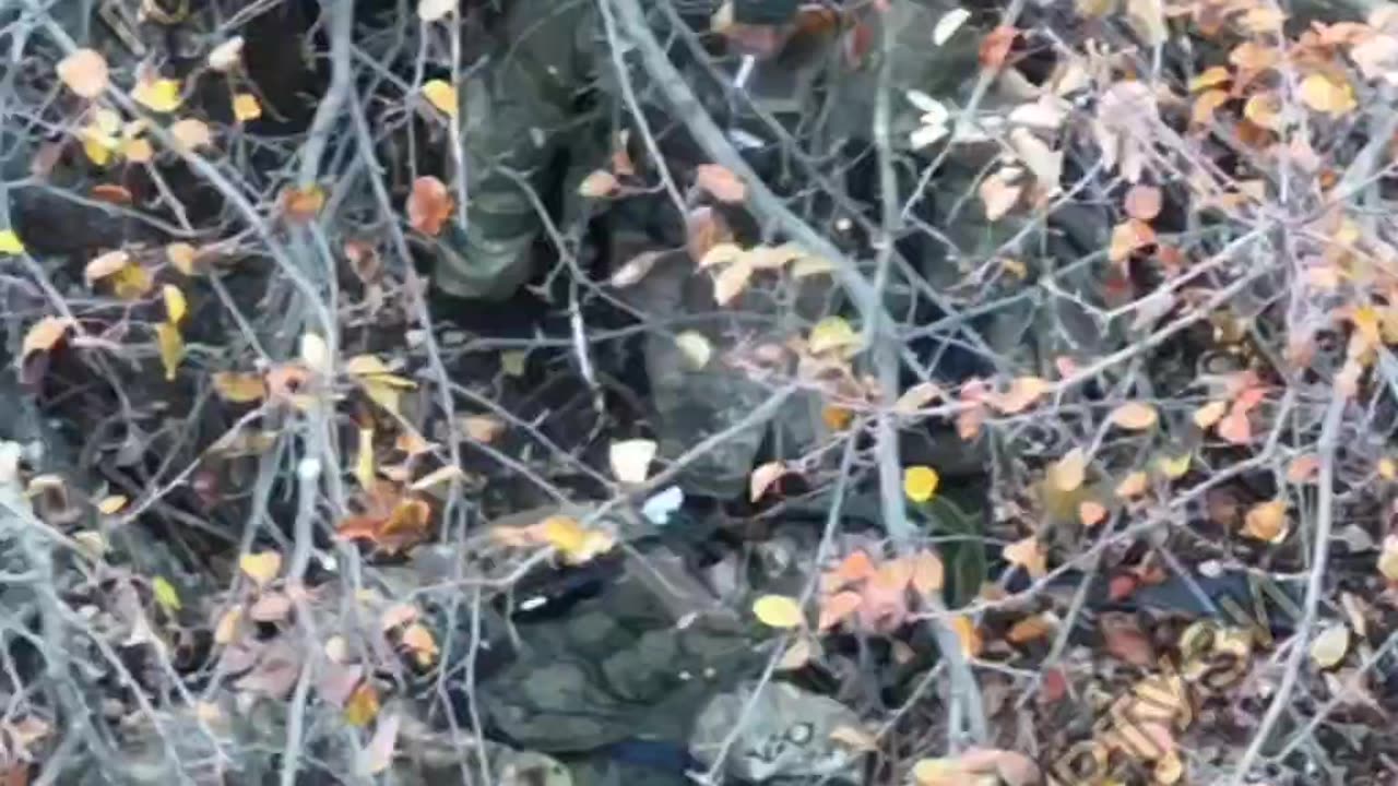 Ukrainian Drones Find Small Group of Russian Soldiers Moving Towards Their Rear