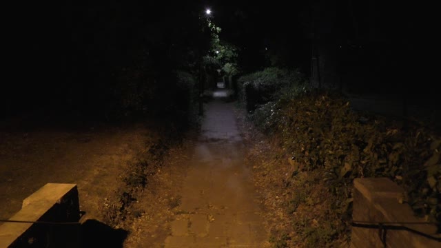 Barnet Garden on the night. / Ogród Barnet w nocy.