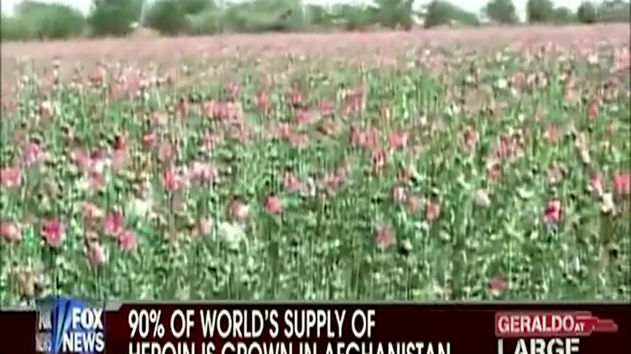 American military guarding Poppy Fields in Afghanistan