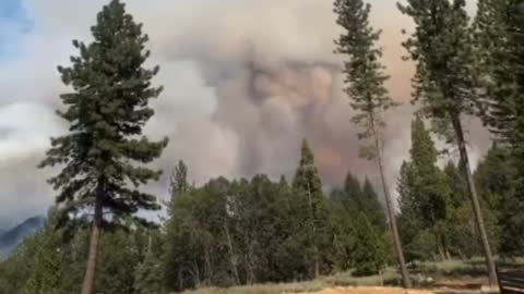 Mosquito Fire California USA