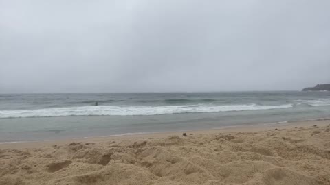 The whale has landed at Coogee Beach (11-30-21)