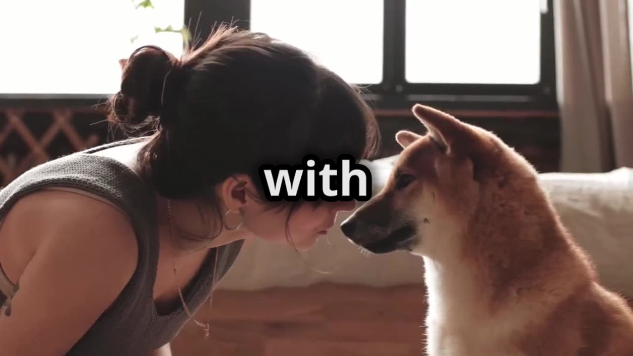 Why dogs are best?