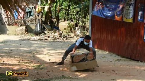 Can't Stop Laughing: Sleeping Dog's Reaction to Huge Box!