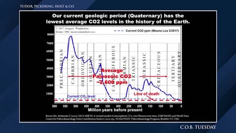 The CO2 level is barely enough as it is today!