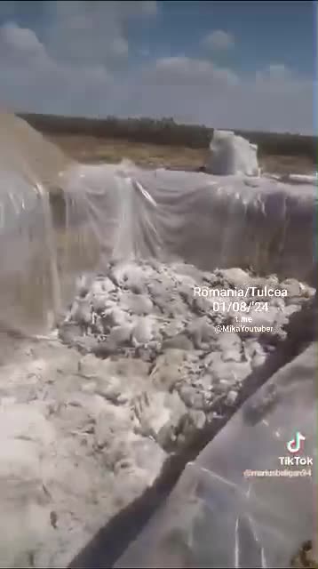 Questa è la fame artificiale programmata!