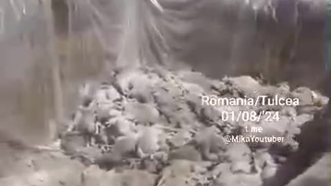 Questa è la fame artificiale programmata!