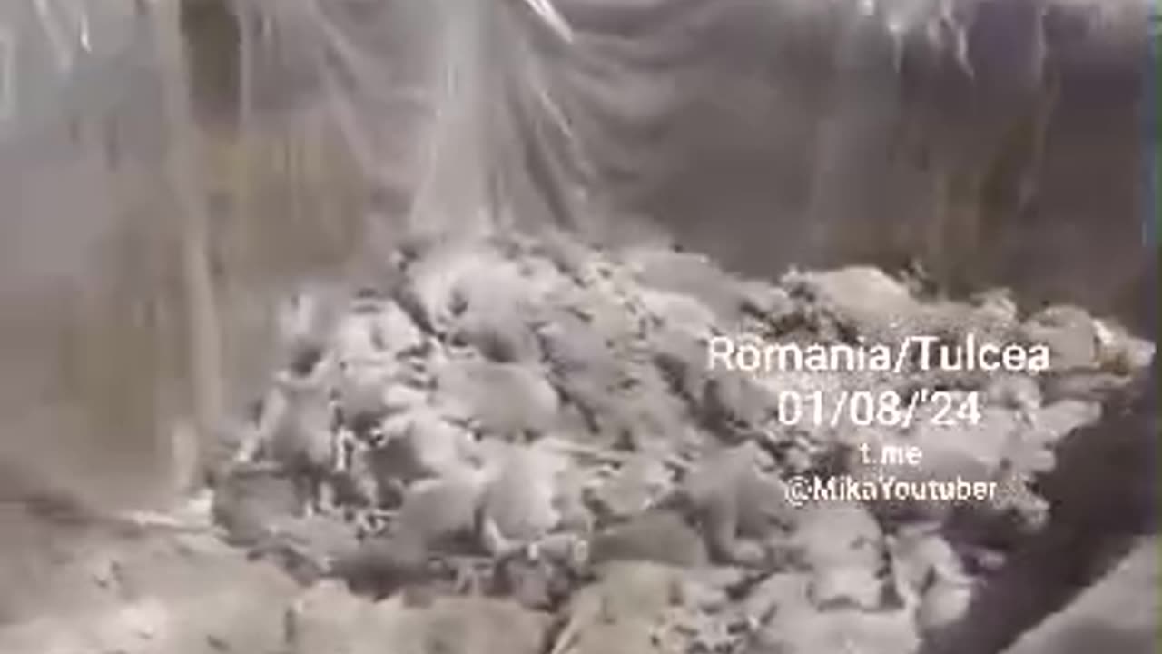 Questa è la fame artificiale programmata!