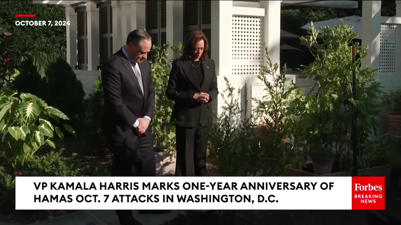 'We Are Not Going To Give Up'- Kamala Harris Says She Will Continue Efforts To Get Ceasefire Deal
