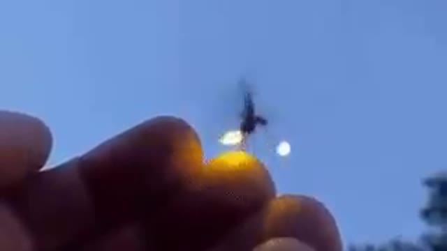 Illuminating Lightning Bug...fire flie