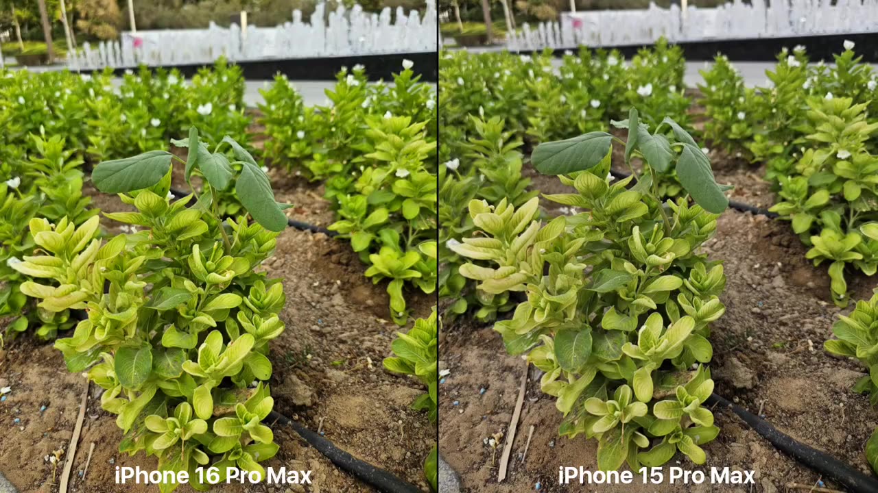 iPhone 16 Pro Max vs iPhone 15 Pro Max Camera Test