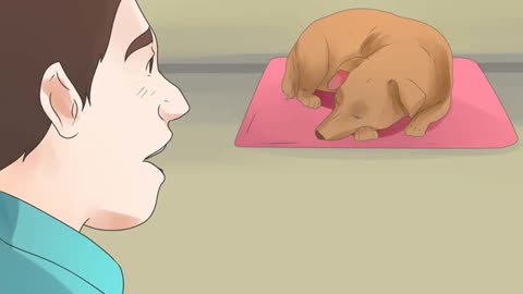 How To Tell If Your Dog Is Deaf