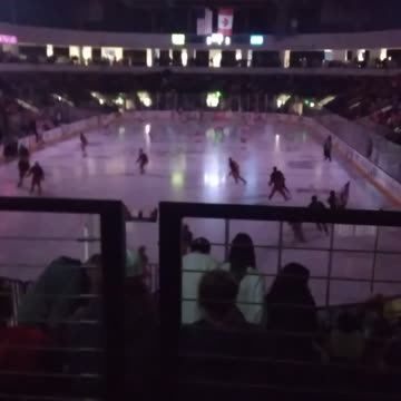 Hockey game