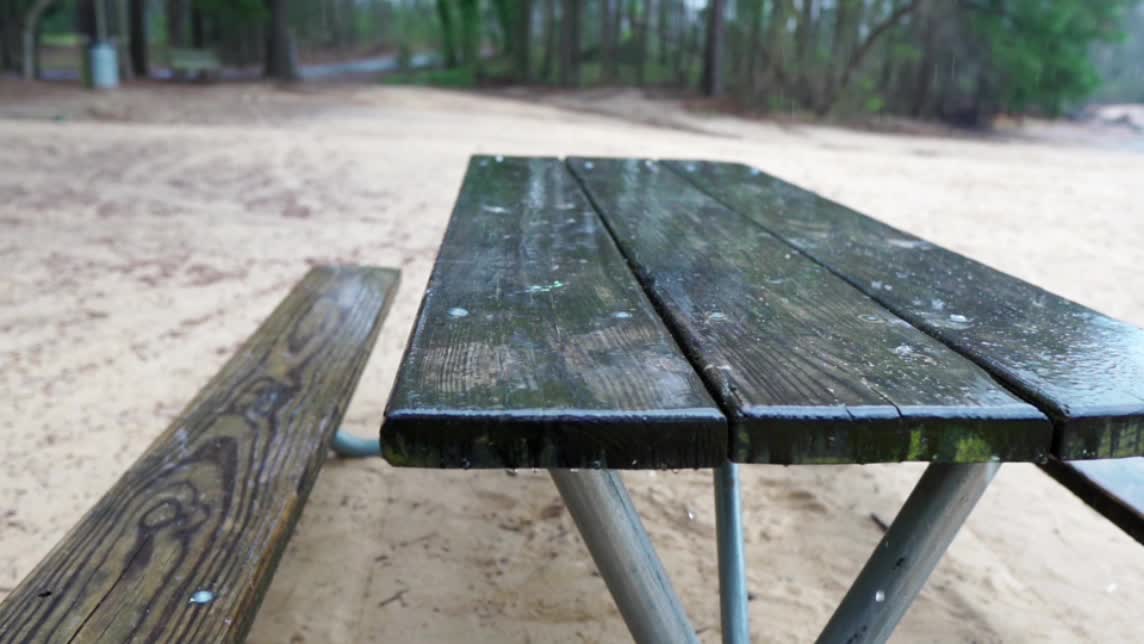 Rain relax spring in park (sound, video)