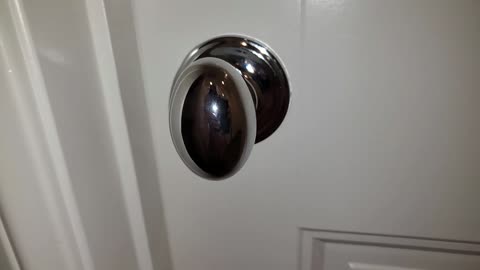 Egg Door Knob - Polished Stainless Steel