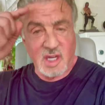 Sylvester Stallone Urges Fans To Watch 'City Of Dreams'