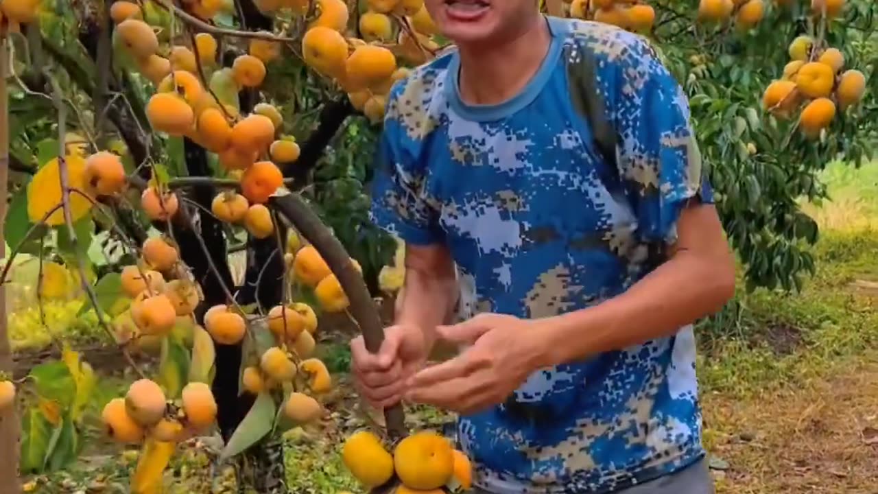 Amazing fruit cutting