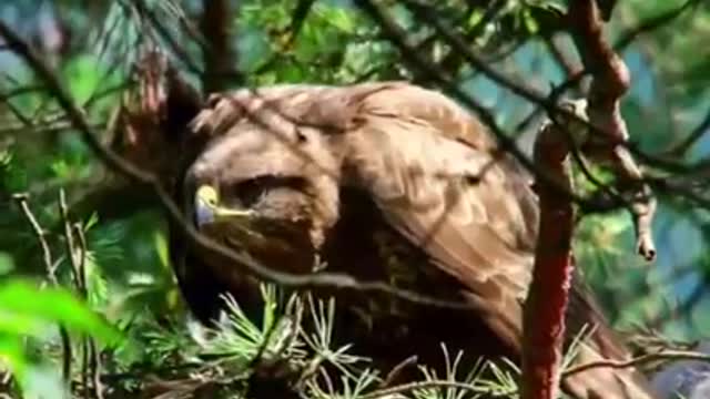 Time with God - November 12