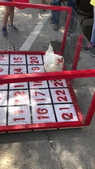 Chicken shit bingo