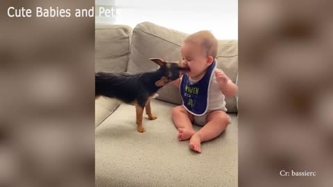 Super cute puppies with babies