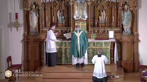 Sunday Traditional Latin Mass for November 7, 2021