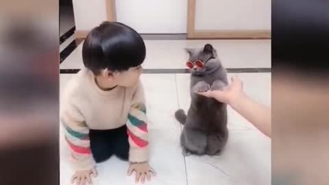 Cute Cat and baby Funny Videos