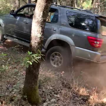 Round 2: Escape from the pond