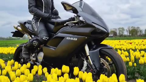 #sportsbikelife #superbike #sportsbike #reelsoftheday #reels e