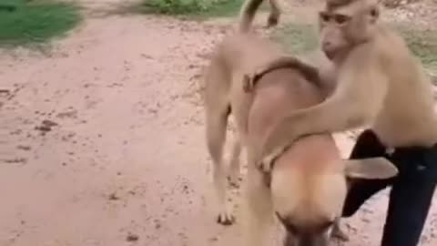 Wonderful Unbreakable Friendship #shorts #shortvideo #video #virals #videoviral