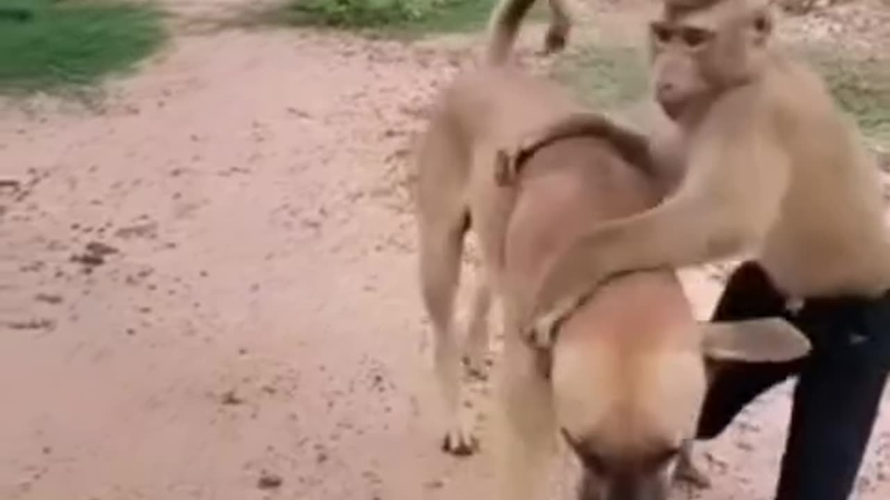 Wonderful Unbreakable Friendship #shorts #shortvideo #video #virals #videoviral