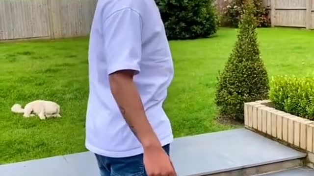 CRAZY LEVITATION TRICK REVEALED 🤯 HOW TO FLOAT!