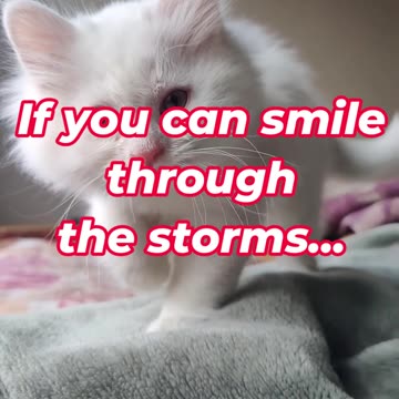 If you can smile through the storms...