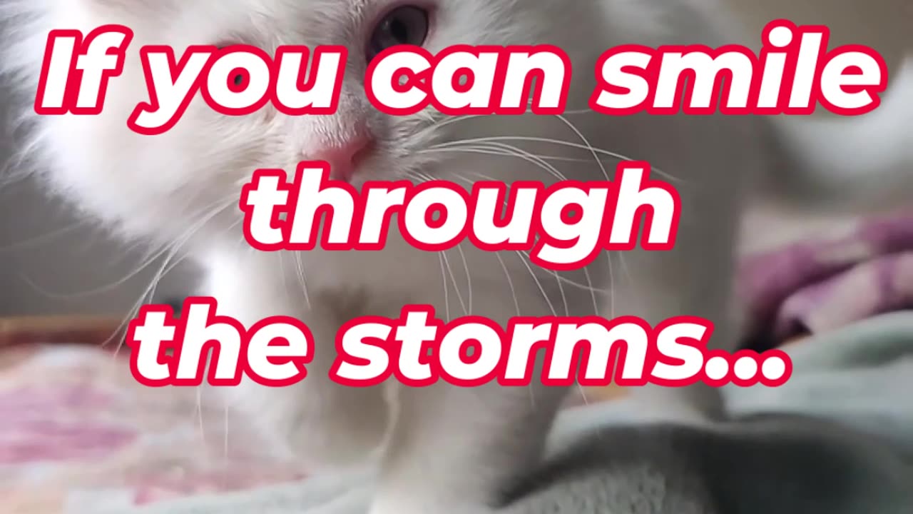 If you can smile through the storms...