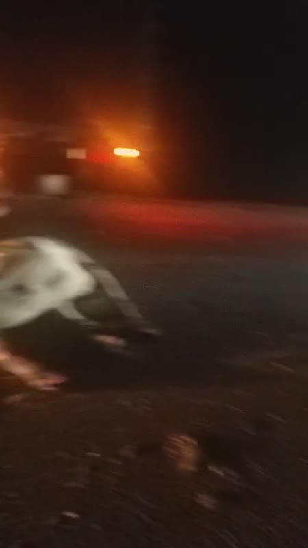 Video: Una persona muerta tras el choque de una buseta contra una vaca en el Magdalena Medio