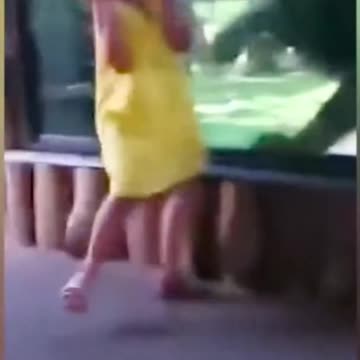 Lion attacks little girl