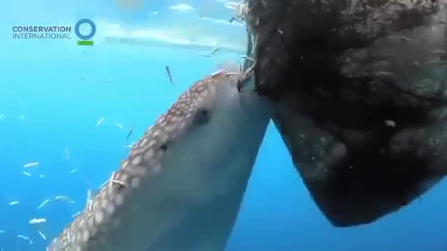 Work smart, not hard be that person