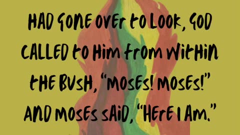 My Burning Bush! (Click link in description to see more)