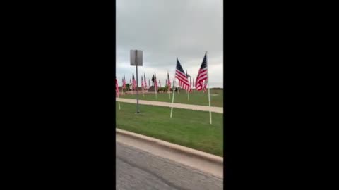 Veteran Day Flags in Corpus Christi