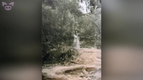 Unnerving Old Photos Captured Long Before Photoshop! (Genuine Chills)