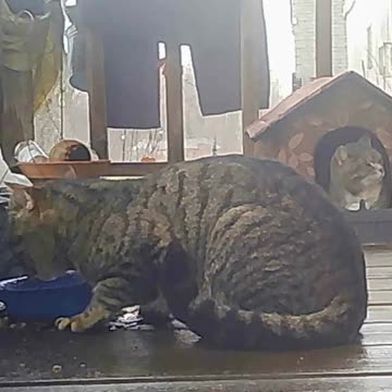 EA S70 - Gonna Be Windy