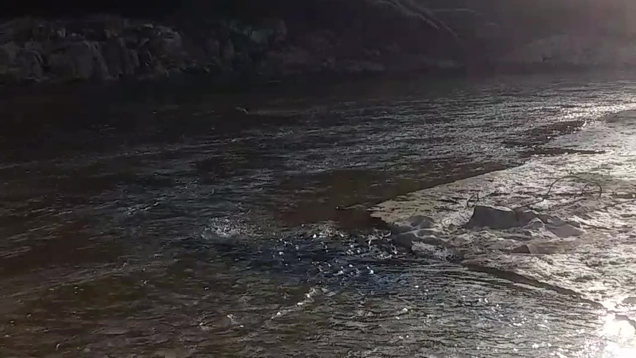 30.10.2024 The Barron River, Kuranda (6)