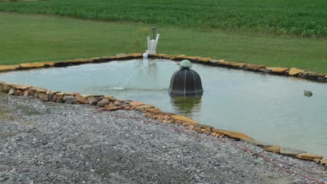 How To Plumb A Turtle. Wanted A Better Pond Feature & Help The Fish.