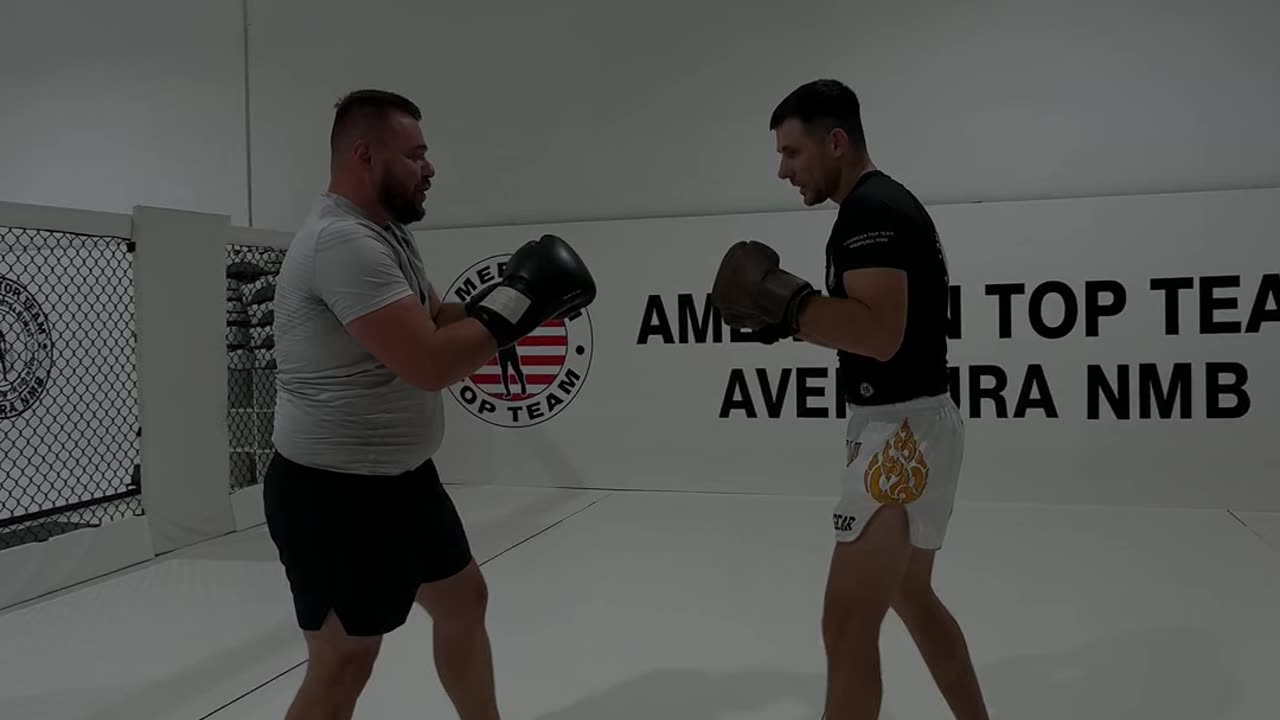 training for ufc