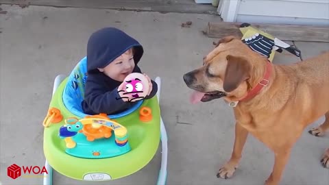 Funny babies and dogs on your little screen