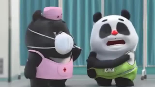 Cute animale littile panda vacinated panda