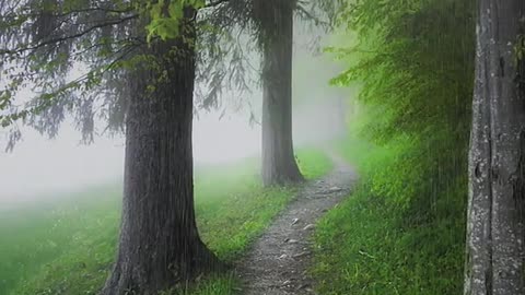 Desire to enhance enthusiasm, perseverance to level the mountain.