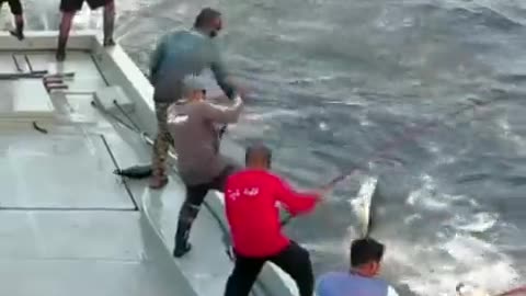 Efficient Tuna Fishing