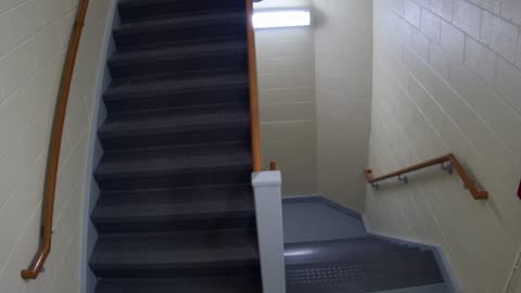 3889FHOB05Stair10_2021-01-06_02h40min01s157ms.mp4