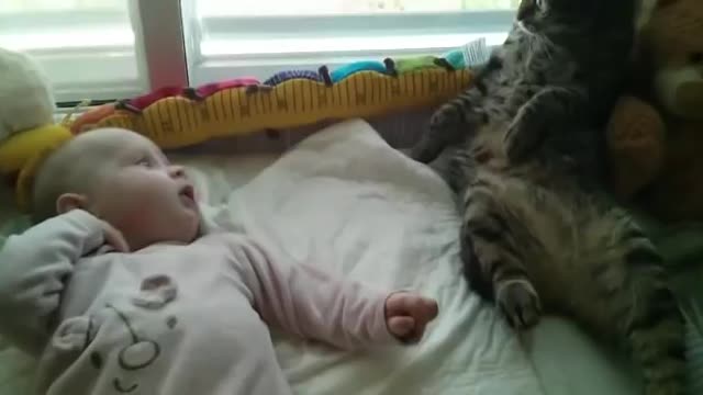 Confused cat not sure how to handle baby